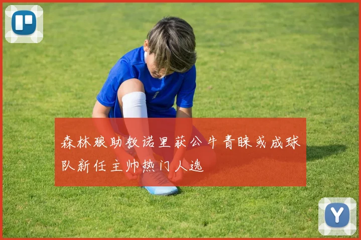 森林狼助教诺里获公牛青睐或成球队新任主帅热门人选